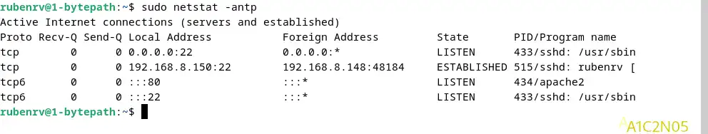 Netstat
