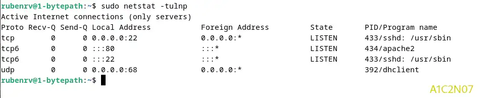 netstat